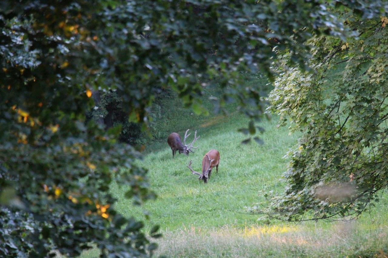 Apartmán Ferienhof Krinde Ringoldswil Exteriér fotografie