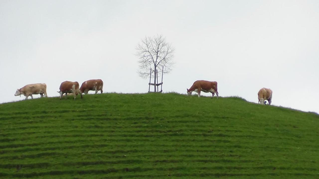Ferienhof Krinde Ringoldswil Exteriér fotografie